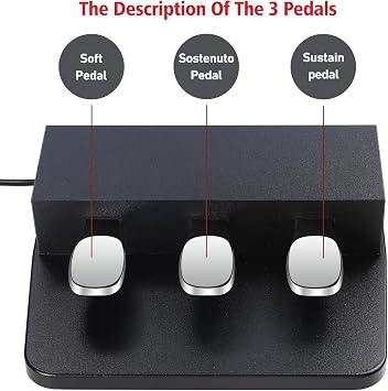 3-Pedal for Digital Keyboard Piano,3 Pedal Unit Compatible for Yamaha DGX640,DGX650, DGX660,KBP500, KBP1000, KBP2000, KBP3000 Electric Piano