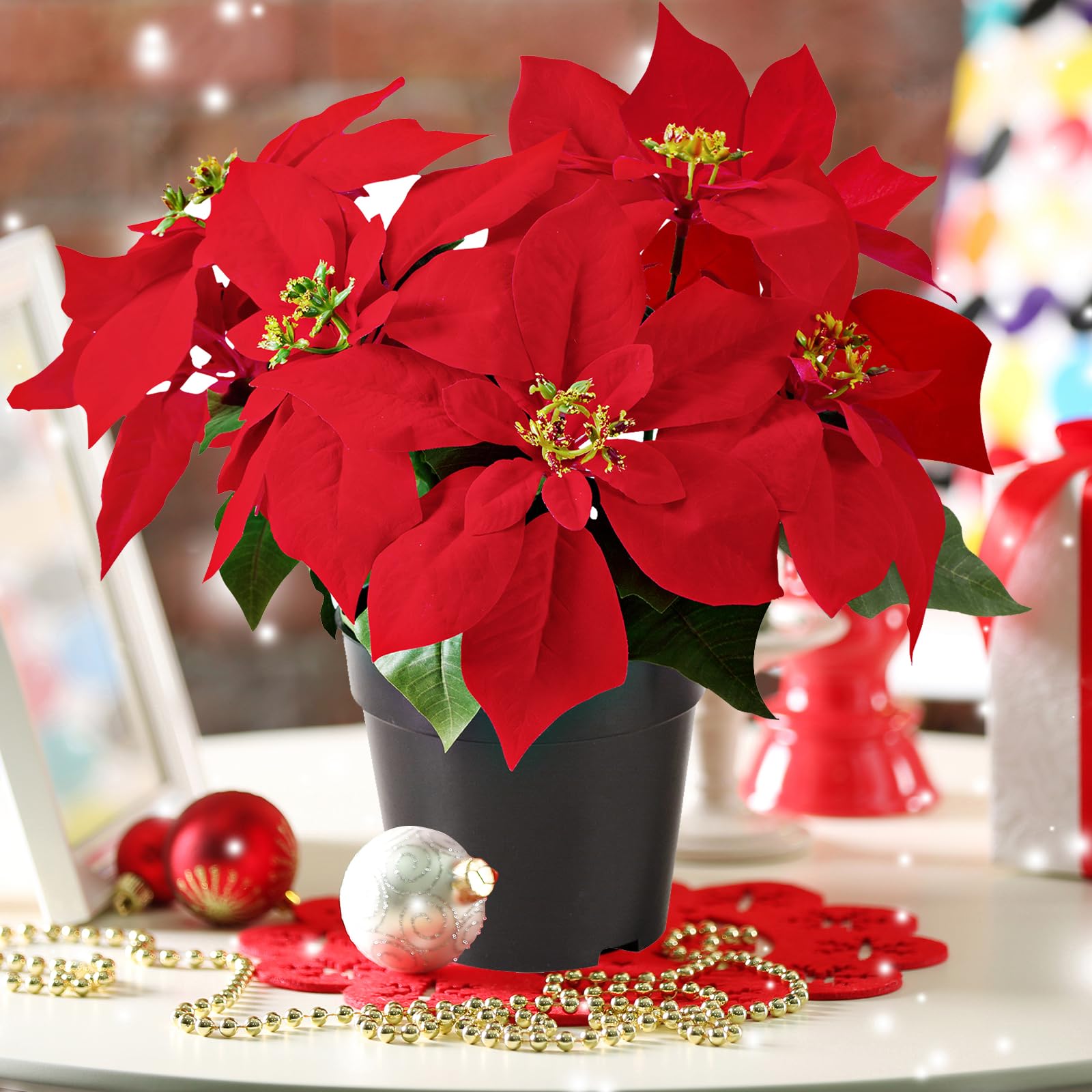 Amazon｜MATBAR 13.4インチ ポインセチア 植物 レッド 大型  