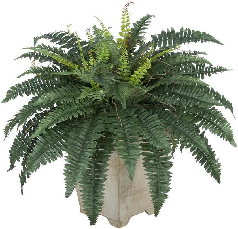 House of Silk Flowers Artificial Fern in Small White-Washed Wood Planter