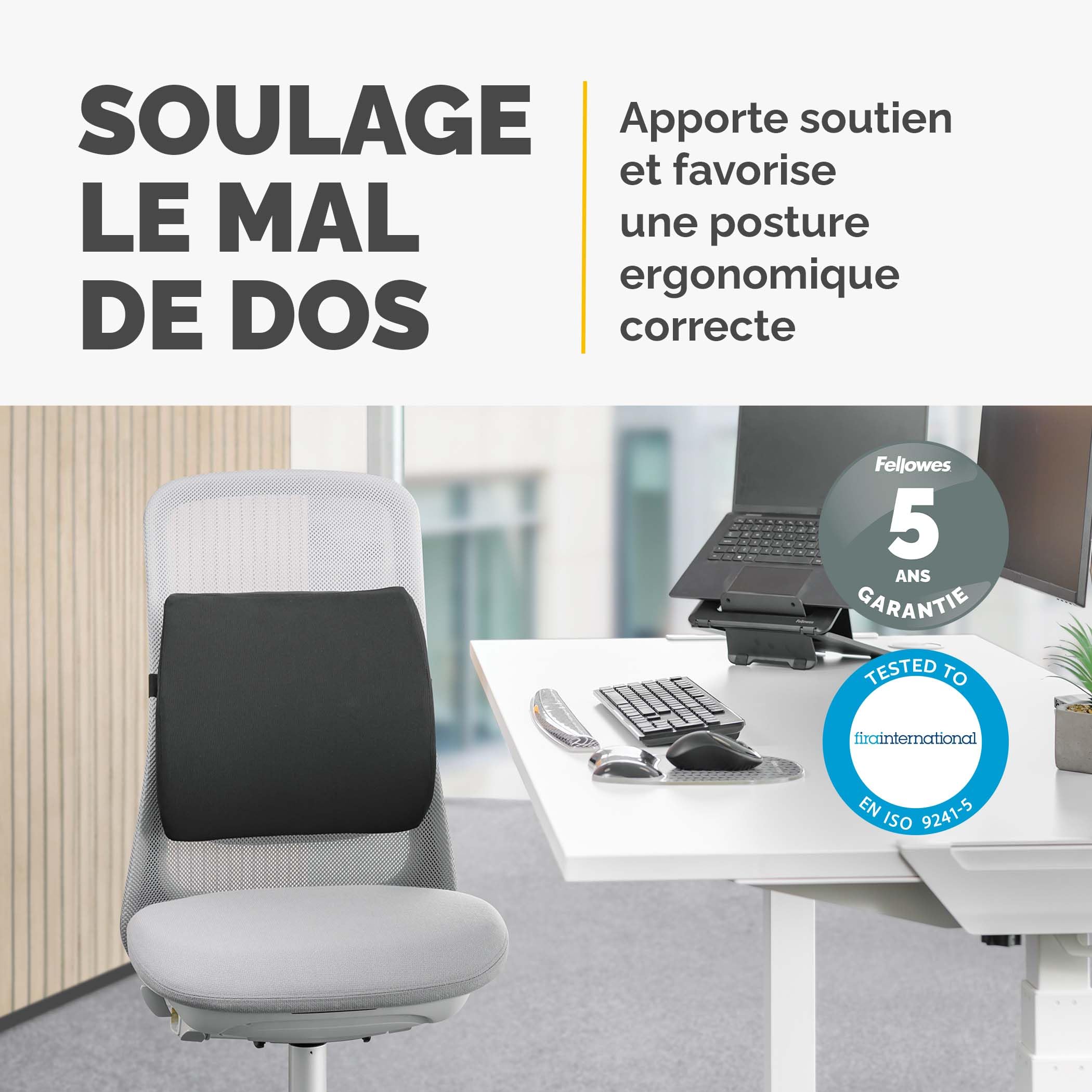 Fellowes Coussin Dorsal Breyta - Support Dorsal Ergonomique, Sangle Ajustable, Matériaux éco-responsables, Transportable avec Une poignée intégrée, Garantie 5 Ans, Idéal pour Le Travail et la Maison