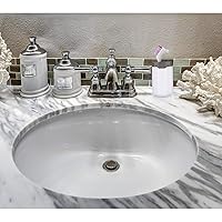 Vista 4 de WILLBOND 6 cepillos de dentadura postiza, cepillo retenedor de limpieza de dentaduras duras con estuche de transporte blanco para limpieza de azul