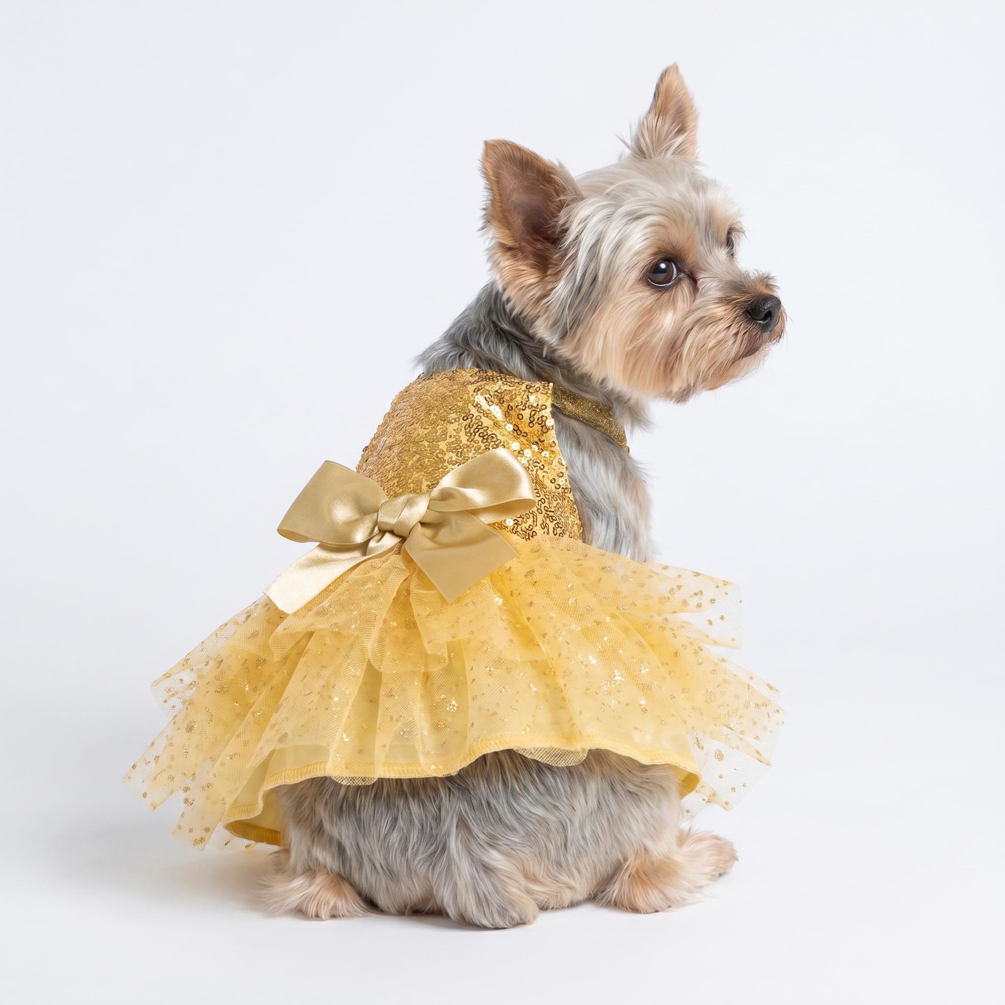Fitwarm Sparkly Sequin Dog Tutu Dress, Luxury Christmas Outfit for Small Dogs Girl, Holiday Pet Clothes, Gold, XS : Pet Supplies