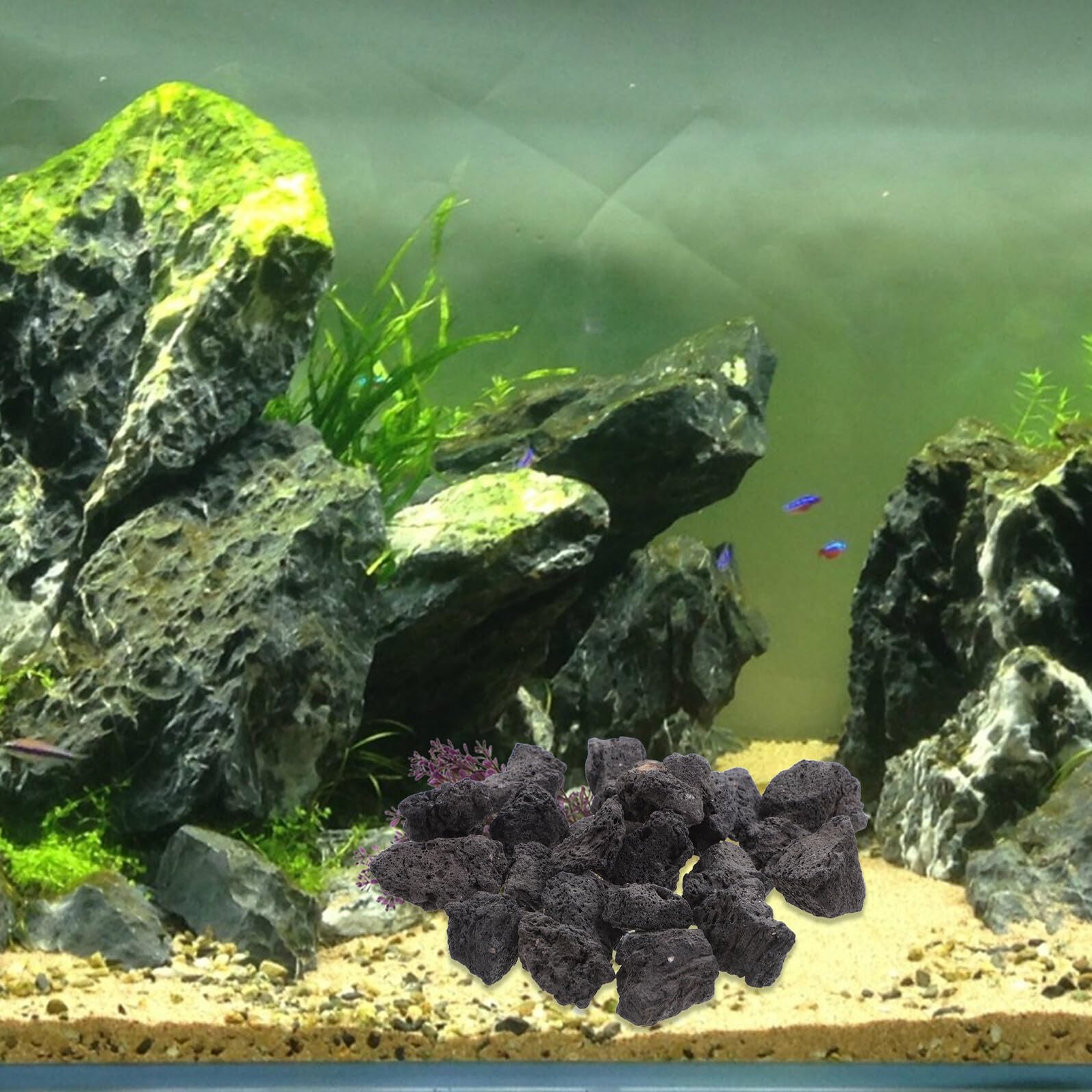 Hemobllo Roche Volcanique Naturelle Noire Poreuse 200g 2-4cm pour Décoration Aquarium, Plantes en Pot et Aménagement Paysager, Pierre Volcanique Respirante pour Terrarium et Jardin