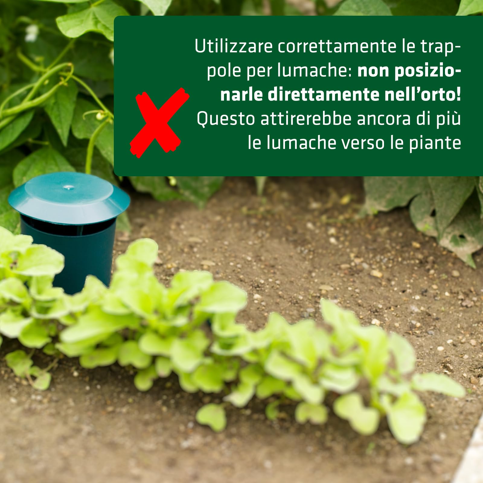 GARDIGO® 12x Trappole per Lumache | Lumachicida Biologico per Orto | Trappola Biologica per Lumache per Giardino | Antilumaca per Giardino | Cattura Lumache | Repellente Lumache