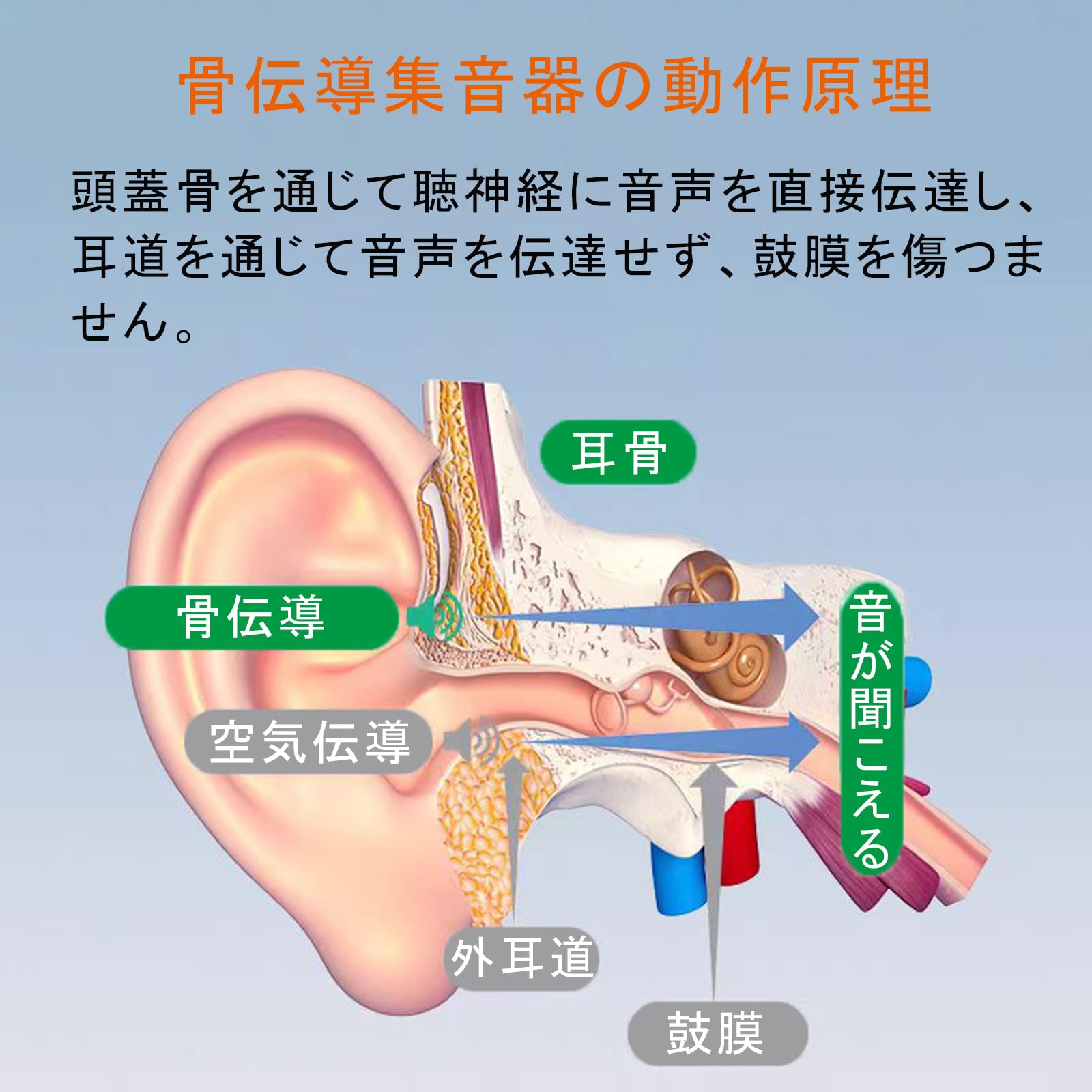 Amazon.co.jp: 集音器 骨伝導 高齢者集音器 ワイヤレス 5段階音量調節