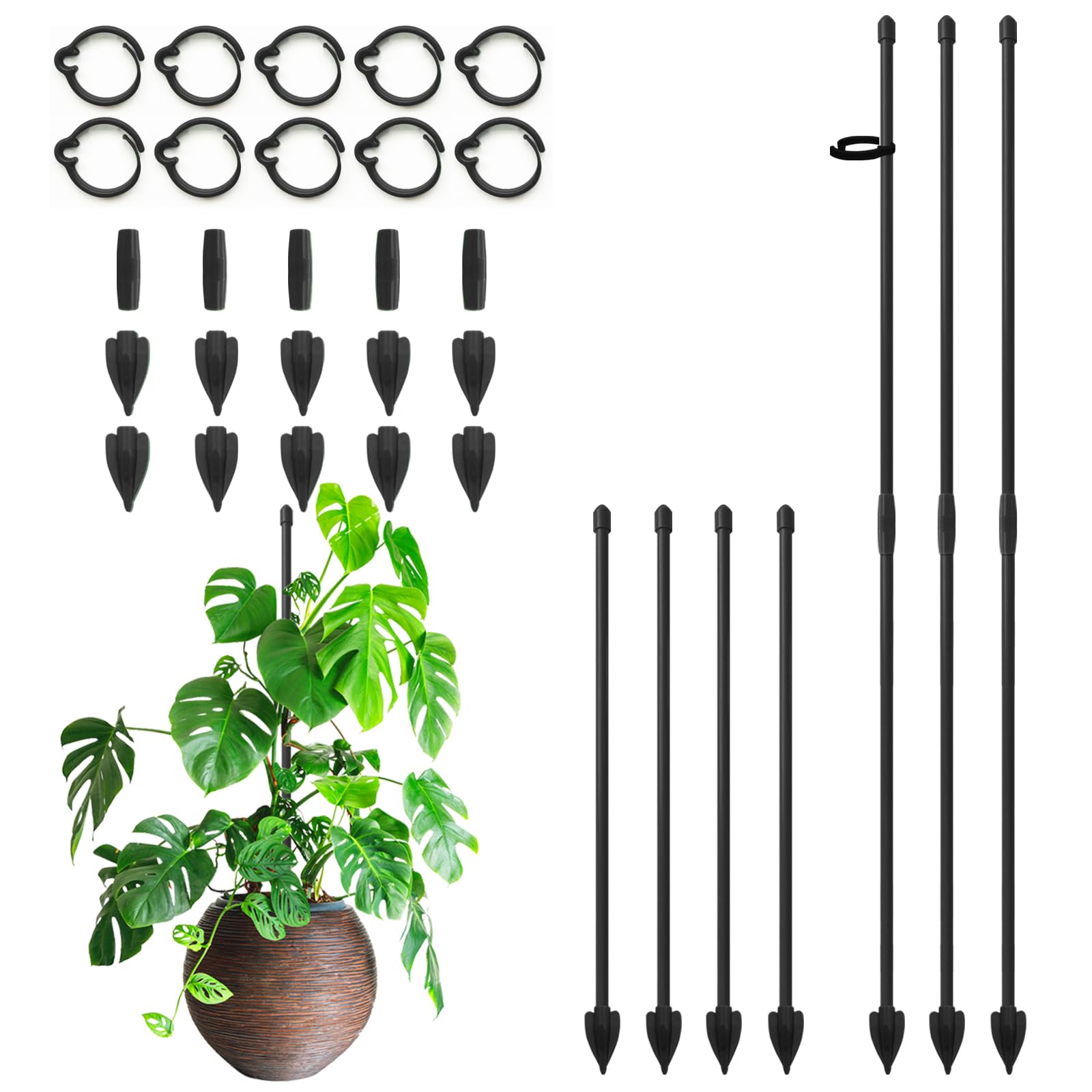 RIFNY Plant Stakes for Indoor Plants, Plant Support Stakes, 14 Inch