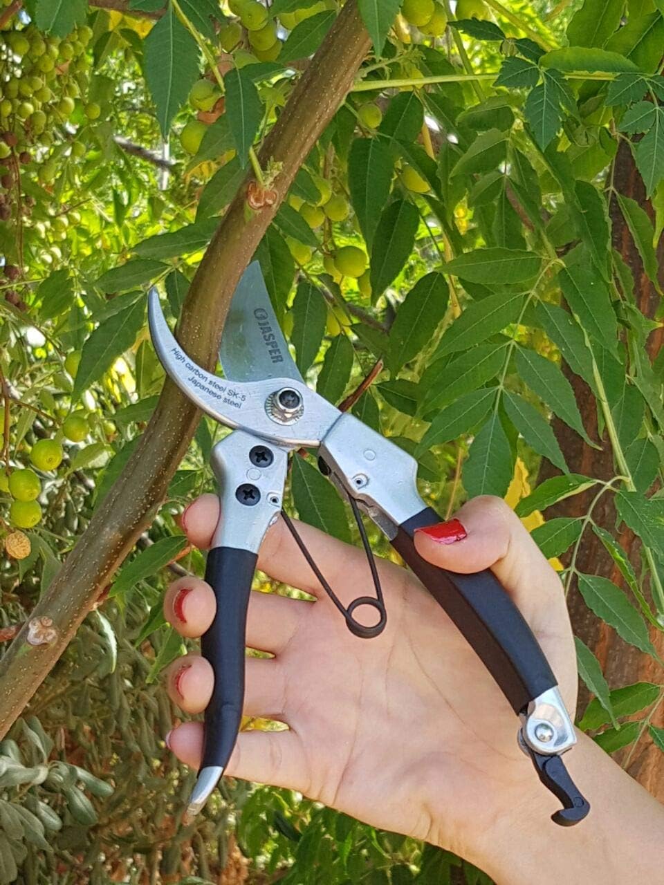 Jasper Solid 8" Heavy Duty Bypass Pruners Japanese Steel SK-5