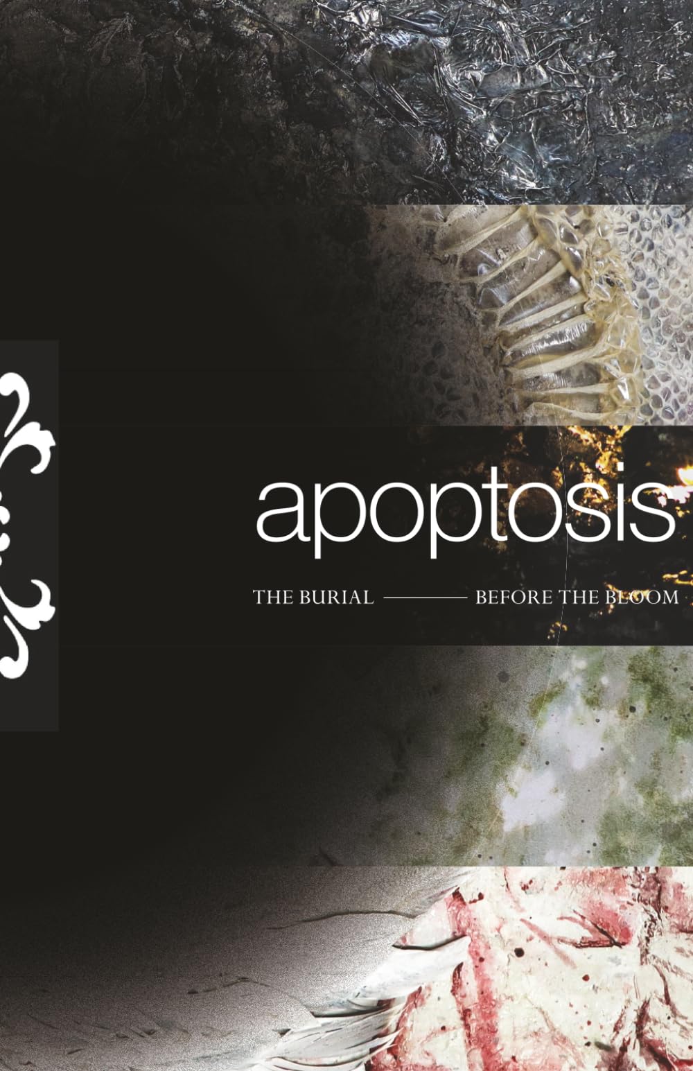 Apoptosis: The Burial Before the Bloom