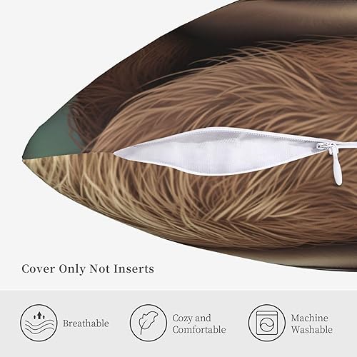 Miniatura 4 de Fundas de almohada decorativas de 20 x 20 pulgadas, fundas de almohada de doble cara para sofá, lindo perezoso, fundas de almohada de felpa suave,