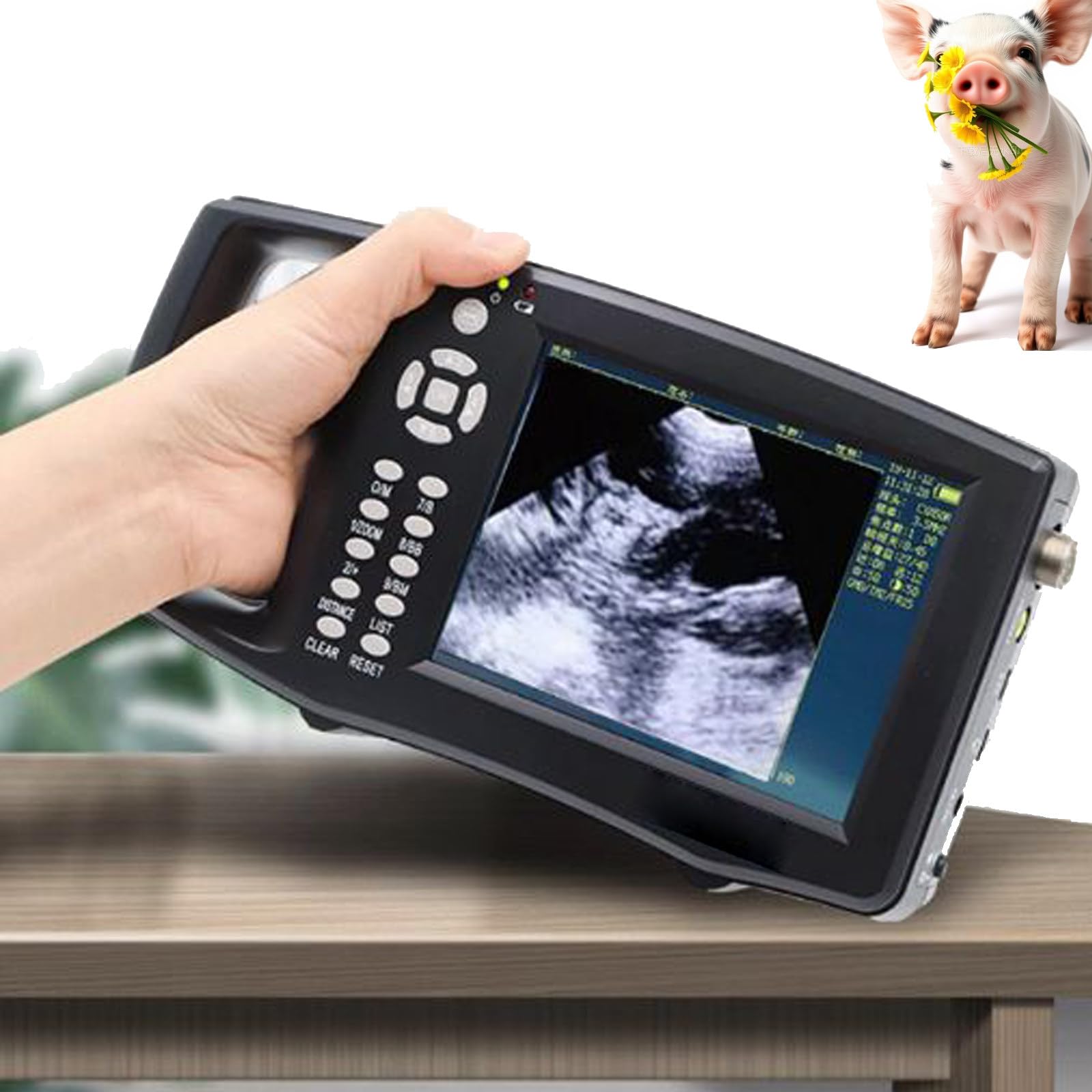 Kit D'échographie Vétérinaire,Appareil D'échographie Vétérinaire Portable avec 3,5 MHz Sonde Rectale,Appareil D'échographie De Type B pour Animaux Agricoles,Porcs,Chèvres,Gestation