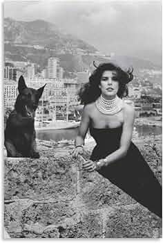 71bKFiLwk9L._AC_UF350,