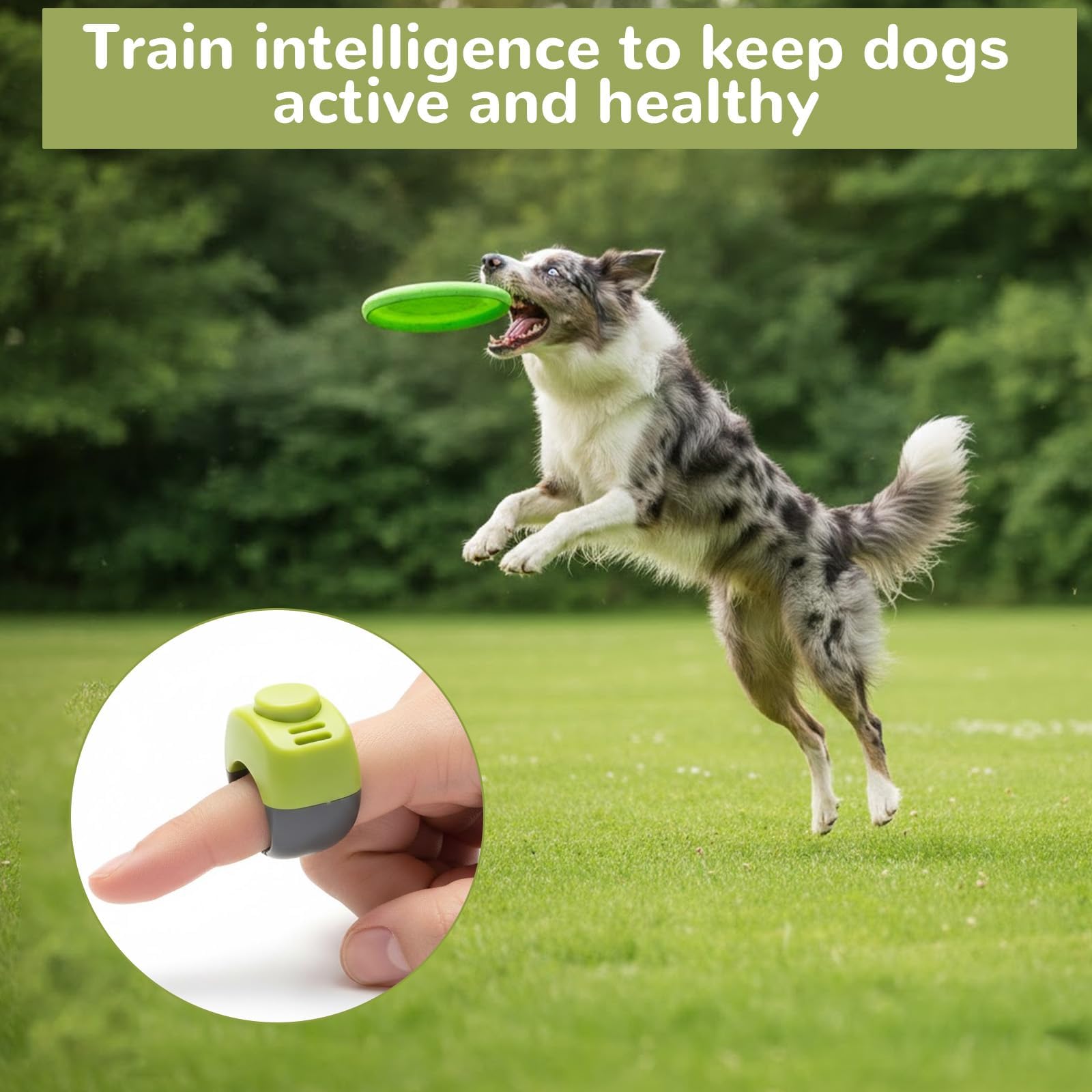 Confezione 4 Clicker per Dita per Cani (19mm/21mm), Pratico Clicker per Addestramento Cane Clicker Cat Clicker Dog per Addestramento di Cani, Gatti E Cavalli, Addestramento al Richiamo