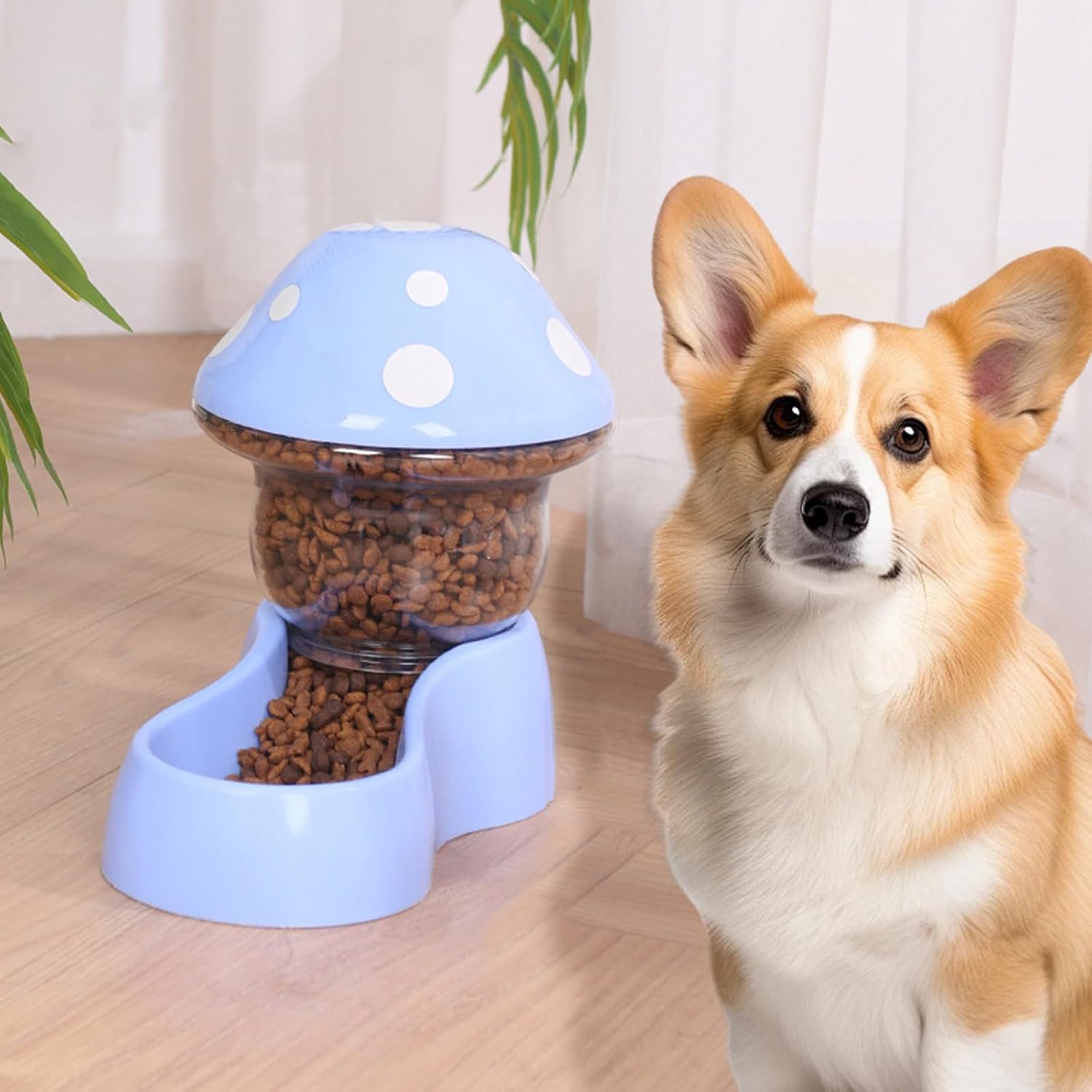 A Corgi dog next to the blue automatic pet feeder, demonstrating its use for food and water.