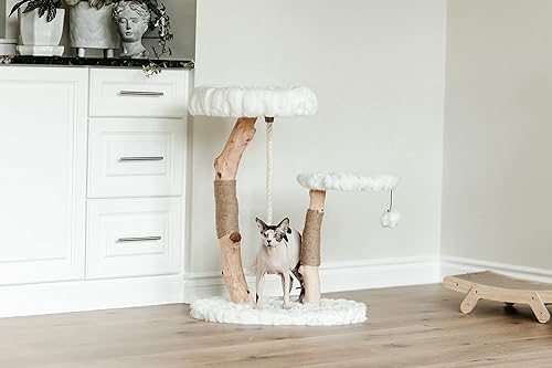 Miniatura 18 de MAU - Moderna torre de árbol para gatos, rama natural, torre para gatos de madera de lujo, árbol rascador para gatos, condominio de gatos, regalo