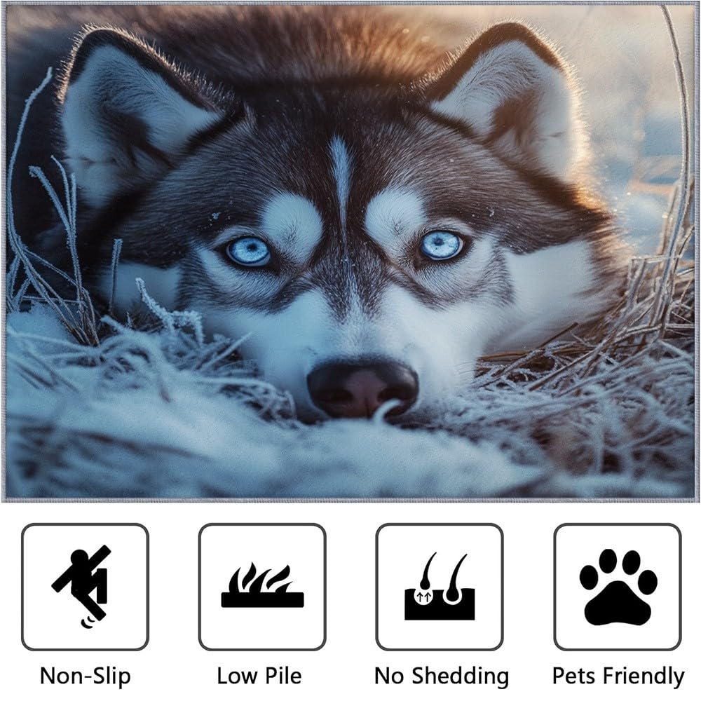 Genérico Husky (zwierzę) Dywan do pokoju dziecięcego 180 x 240 cm - Miękkie zaprzęgowe psy antypoślizgowe i nadające się do prania Flanelowy dywan do salonu, pokoju zabaw, przedpokoju wystrój domu