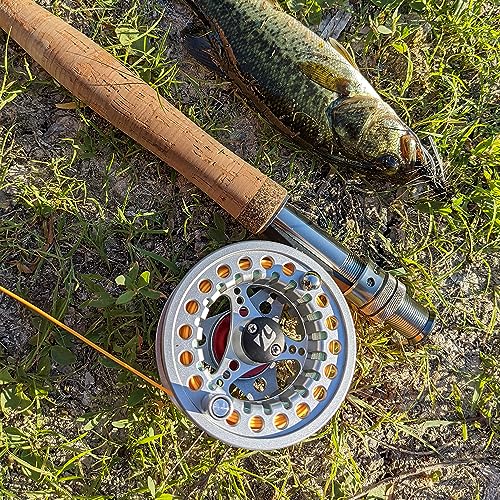 Kylebooker Fliegenfischrolle große Laube mit Aluminium-Körper Fliegenrolle (5/6wt,Silver)