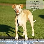 Short Dog Leash - 9 Inch Dogs Lead Green Grab Tab Heavy Duty Waterproof PVC Dog Training Traffic Leashes for Safety Control Behavior Correction Hiking Backup & All Breeds(Green, 9")