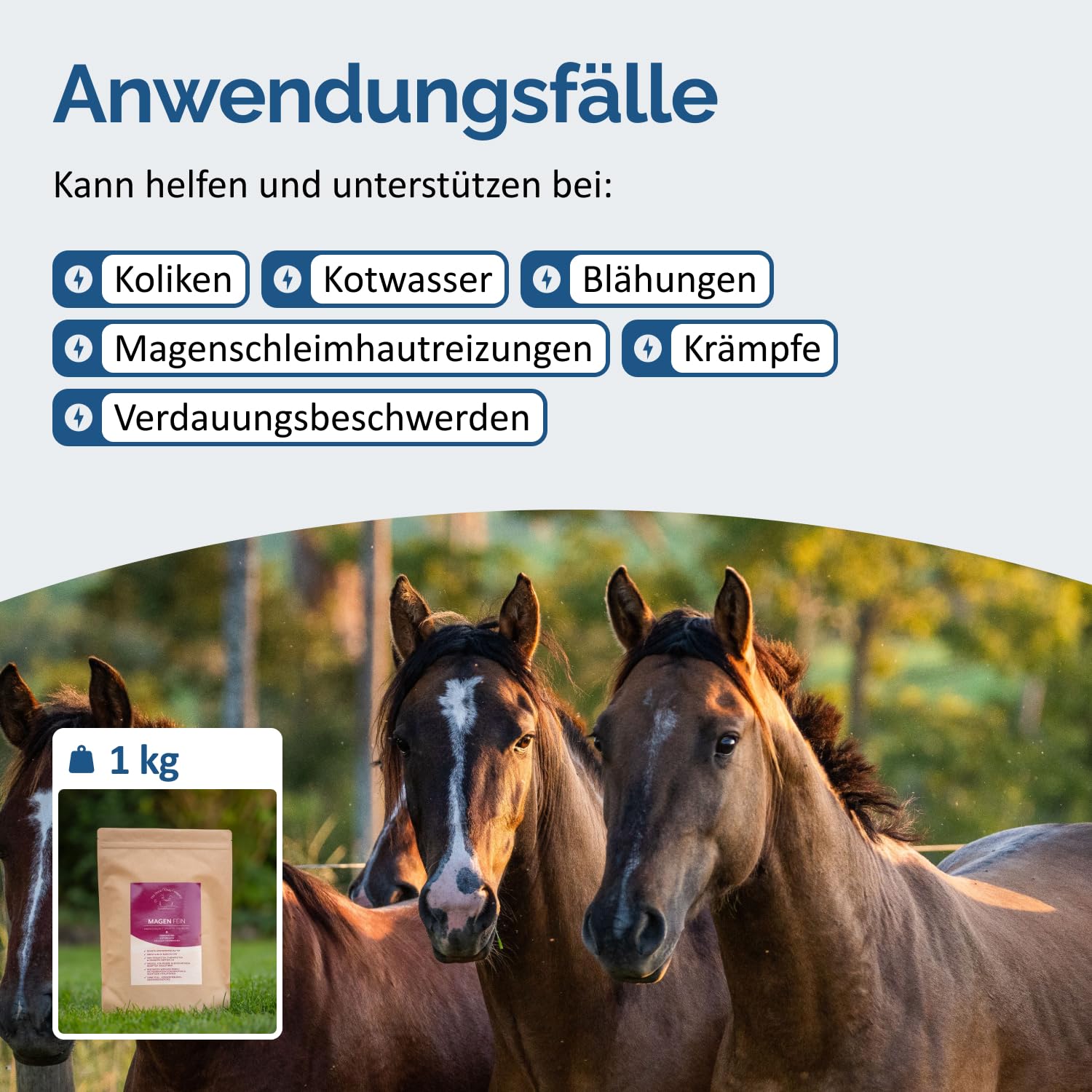 The Horse Vitality Company Magenfein 1 kg Pulver | Ergänzungsfuttermittel für Pferde mit Kräutern & Vitalstoffen | Verdauuung, Koliken, Kotwasser | 100% natürlich | Made in Germany
