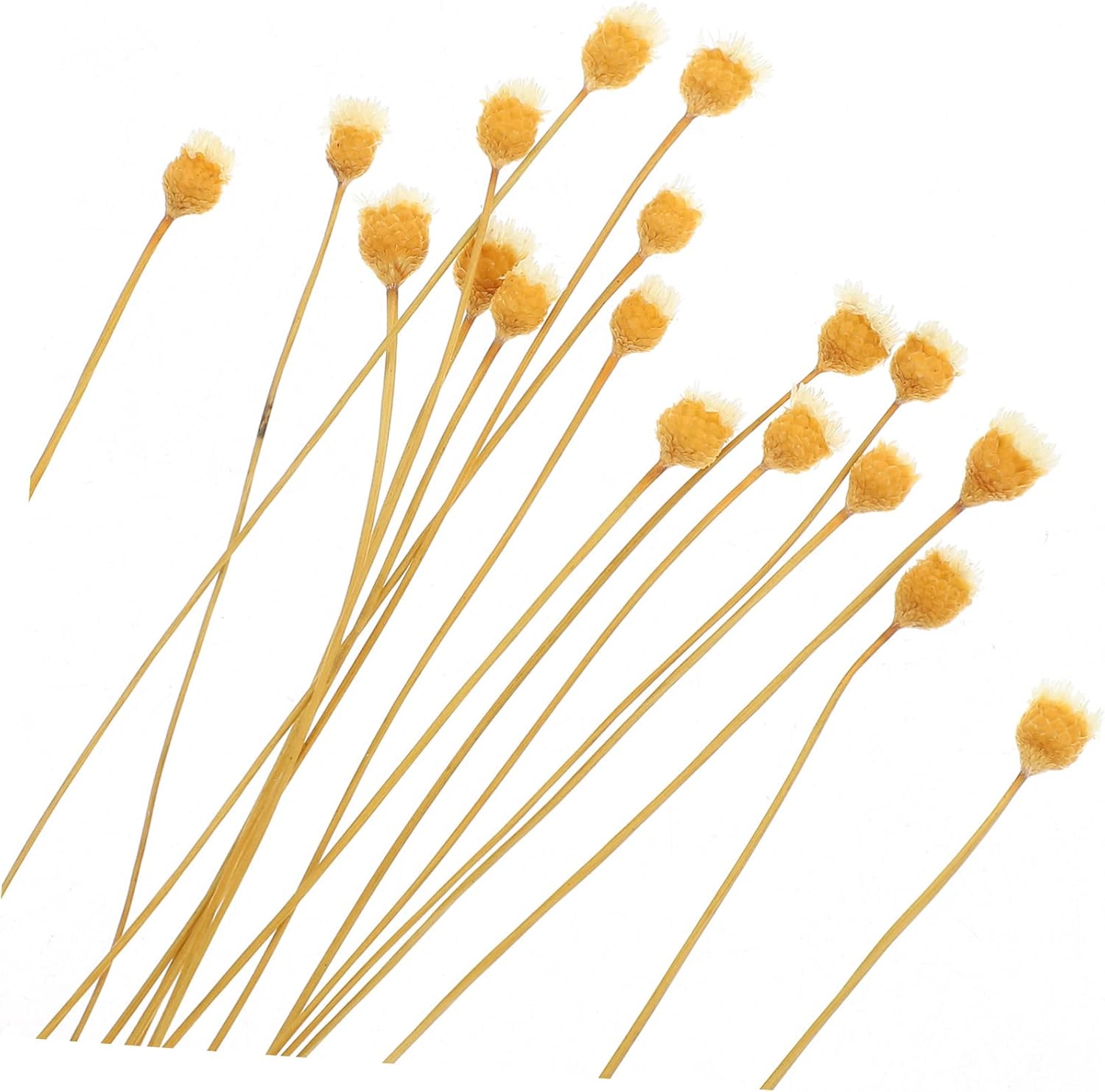 Cabilock Flower Designed Reed Diffuser Sticks 20Pcs Wood Aroma Accessory