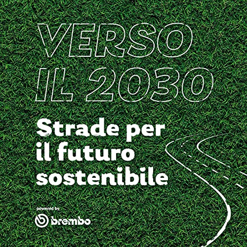 Verso il 2030 cover art