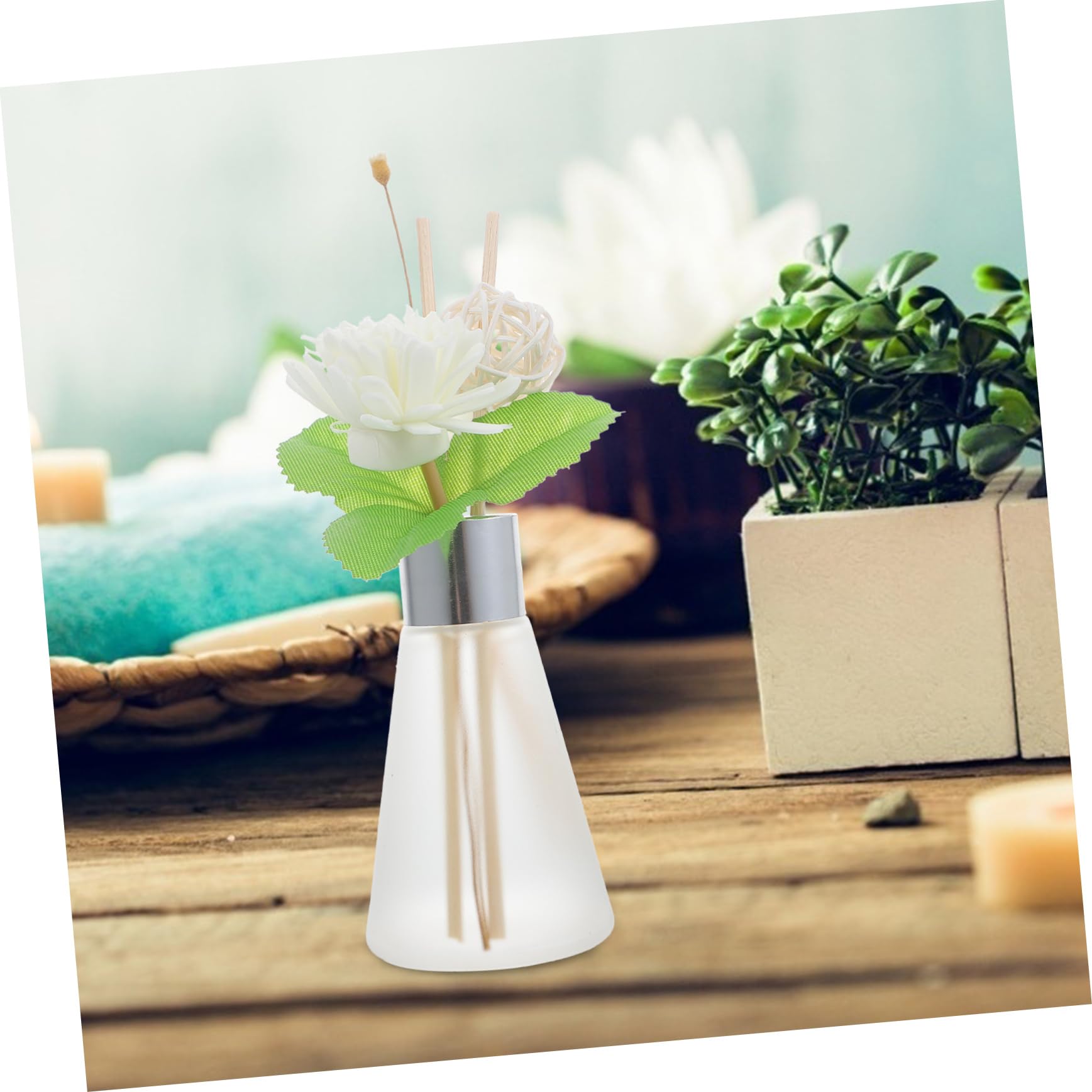 Cabilock Duftdiffusor Glasflaschen für Trockenblumen Dekorativ und Praktisch für Wohnzimmer und Küche 3 Stück-Pack