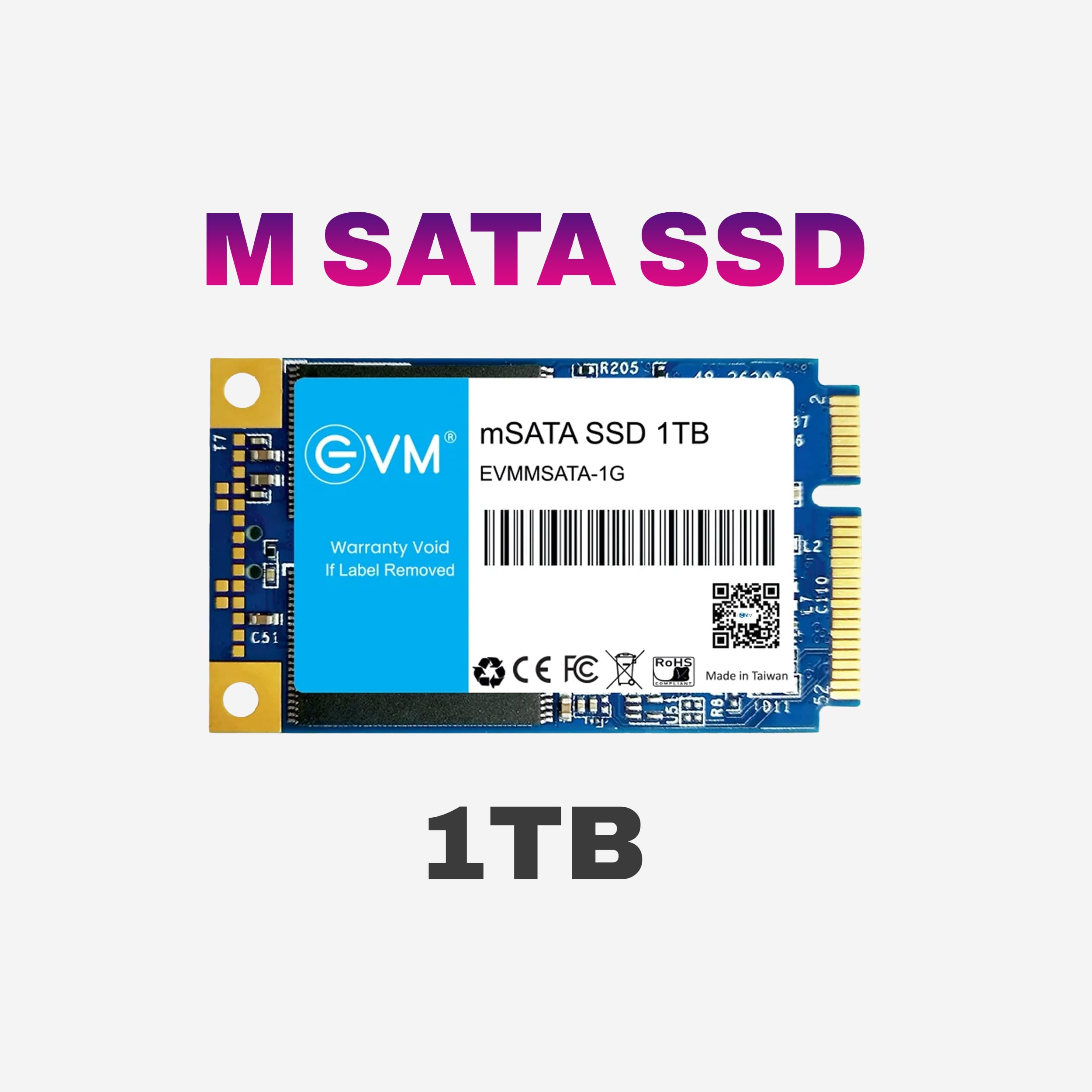 EVM 1TB mSATA Internal SSD