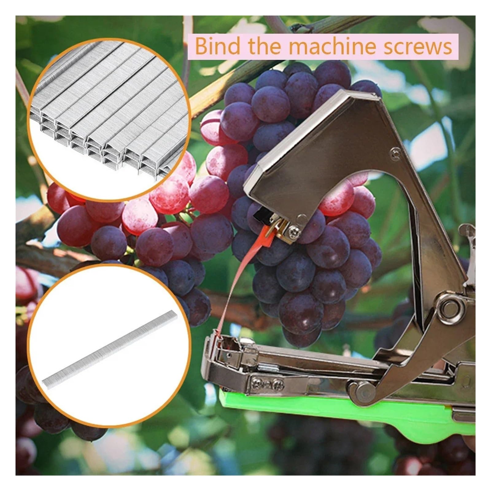 Máquina de encuadernación Manual con 6 Rollos Cintas + 1 Caja Grapas for Atar Ramas, Grapadora Vid UVA, Compatible pimientos y Verduras(1 Set)