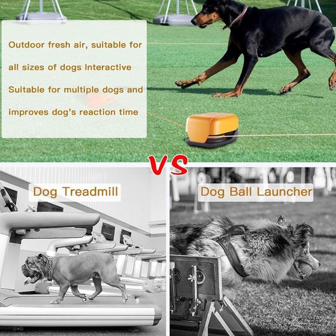 Zestaw treningowy Agility dla szczeniąt,maszyna do kursu przynęty dla psów,zdalnie sterowane przenośne zabawki do pościgu za zwierzętami dla psa,idealne do uwolnienia ich zabawnej natury