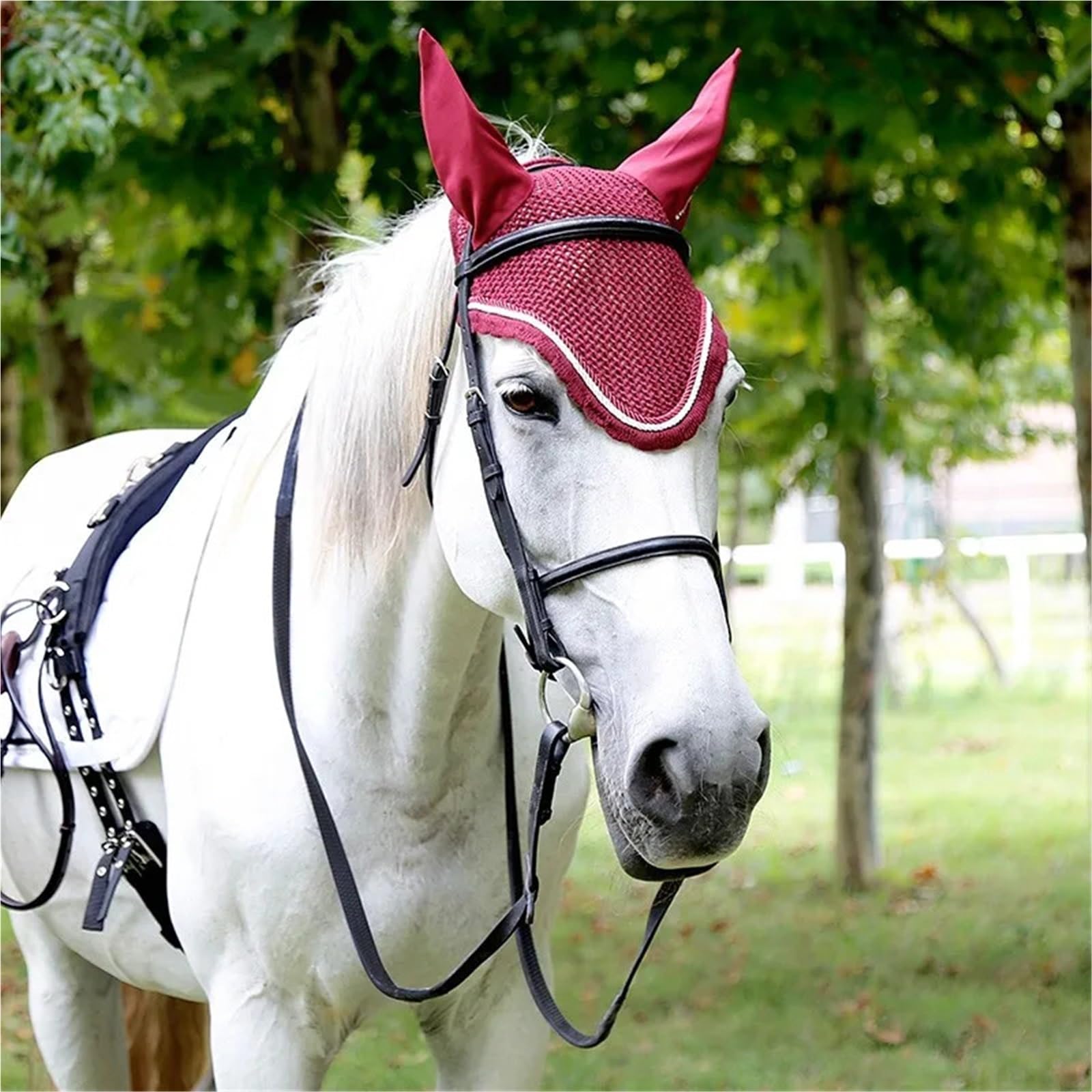 Equipaggiamento equestre Briglia for Cavallo da Equitazione Capezza for Cavallo Collare e redini for Testa di Cavallo Briglia Marrone Nera per Cavalli(Brown-L)
