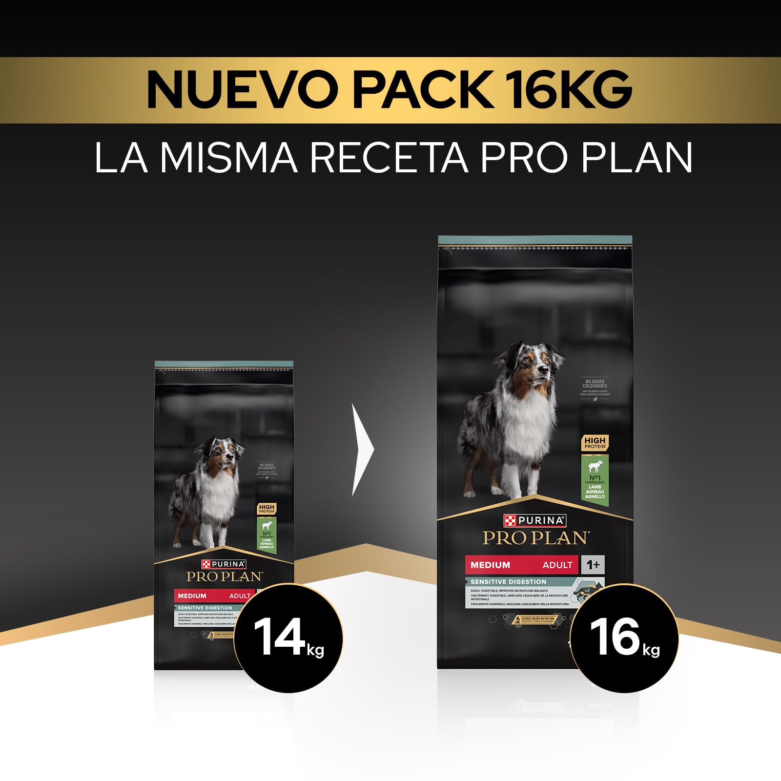 Purina Pro Plan Medium Adult Digestion Pienso para Perro Mediano Adulto, Digestión Sensible con Cordero, Saco de 16kg