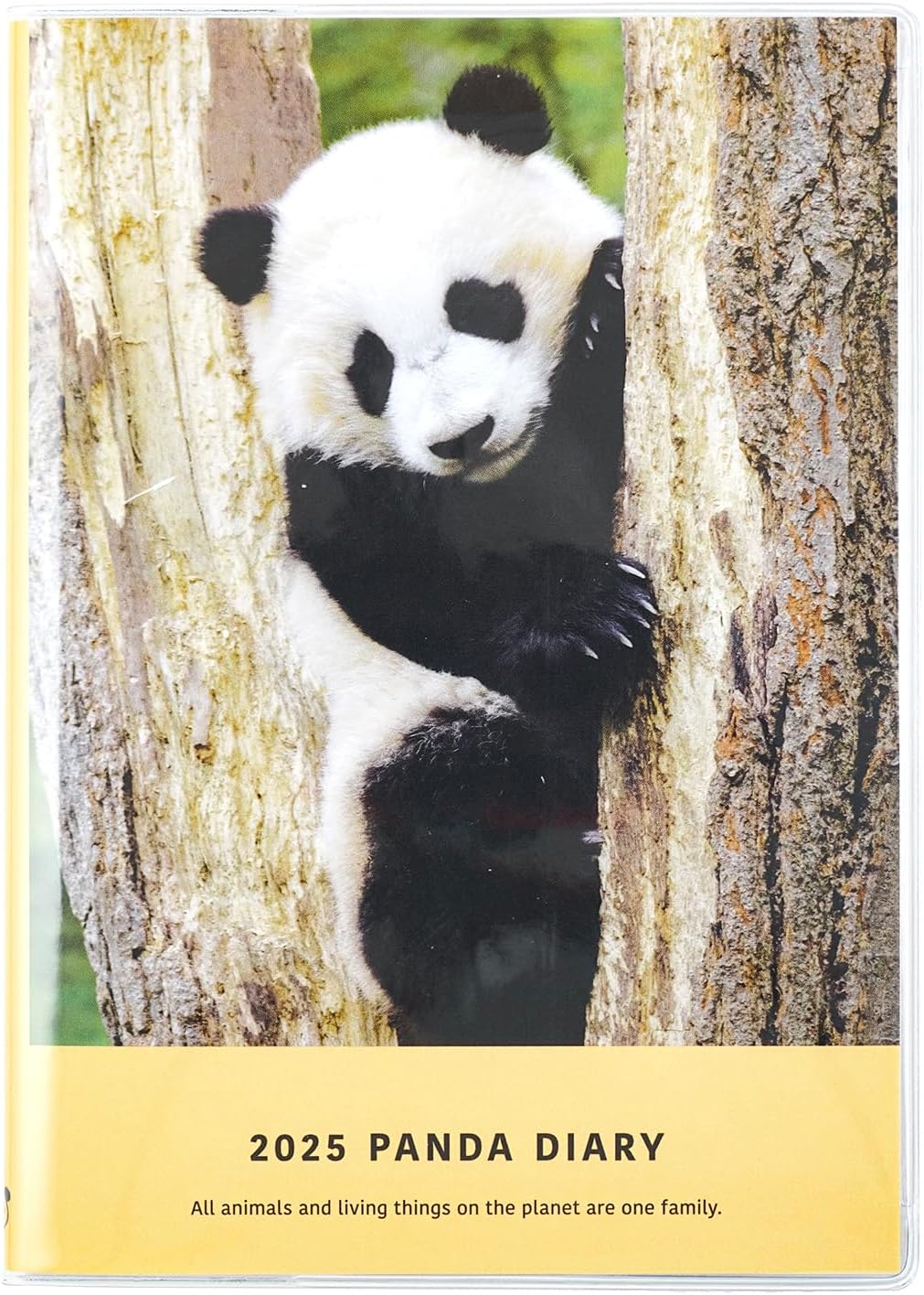 Greeting Life Panda 2025 Notebook, B6, Wicley, Softcover, Yellow, CD-1309-PA (Begins January 2025)