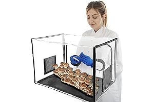 Cultivate Your Mycological Marvels: Large Mushroom Growing Kit for Aspiring Mycologists