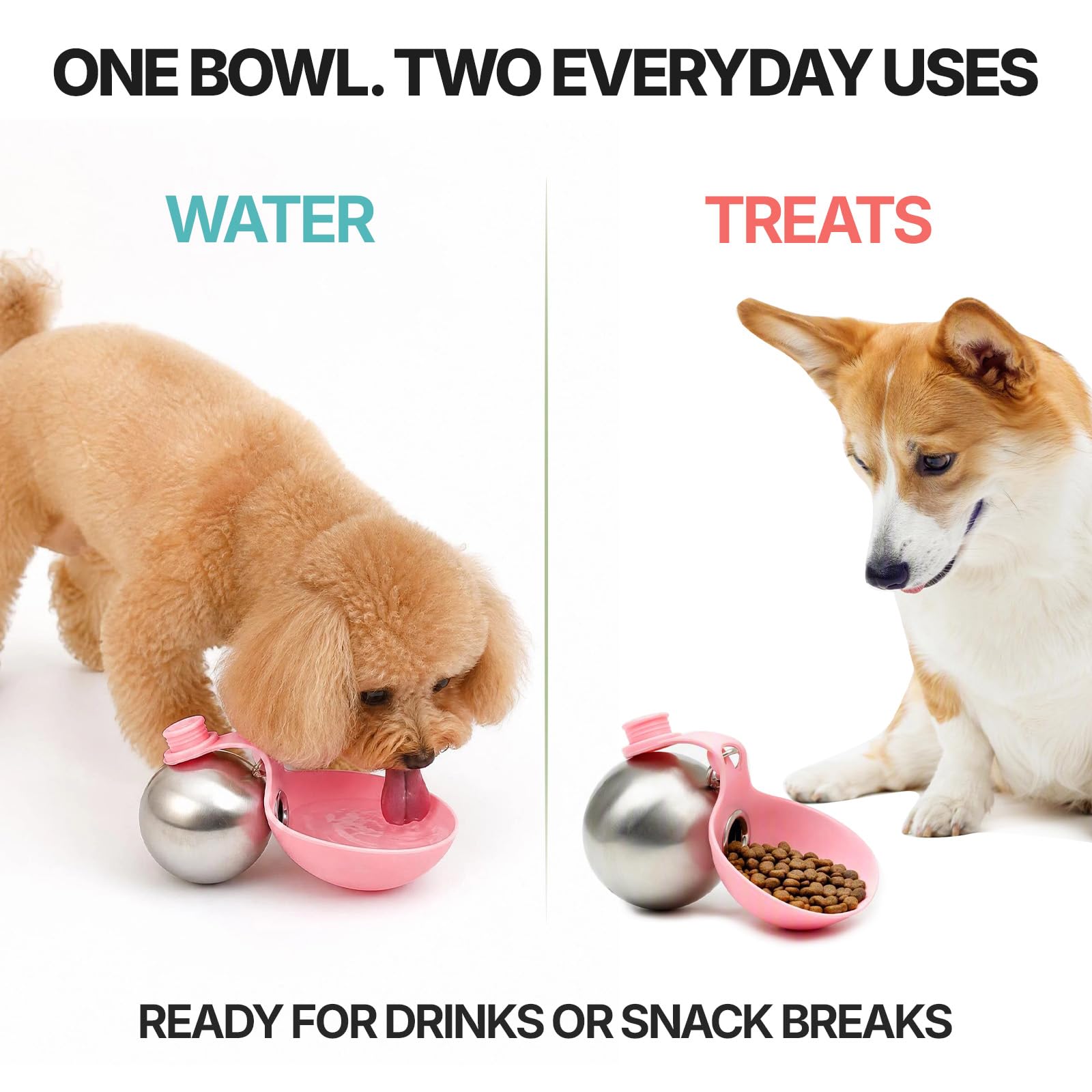 Leak-Proof Dog Water Bottle