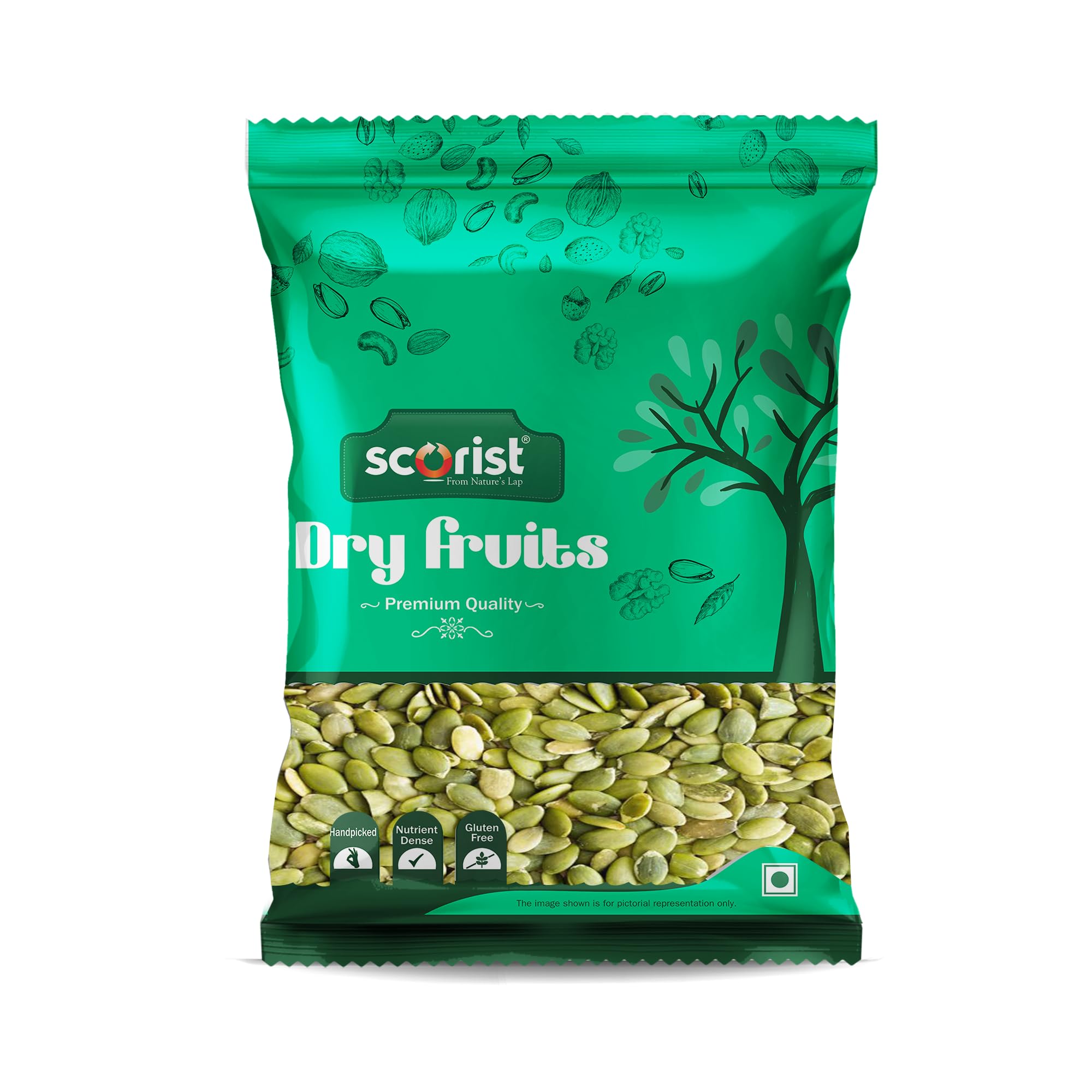 Scorist Premium Pumpkin Seeds 200g | Seeds for Eating | Protein Rich Seeds | Healthy Diet Snacks | Rich in Protein-image-30