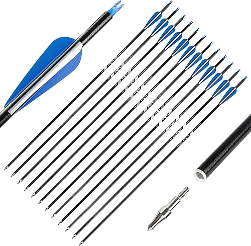 The7boX 12 flechas de fibra de vidrio de 31 pulgadas, 500 flechas de práctica tradicional para arco compuesto y arco recurvo