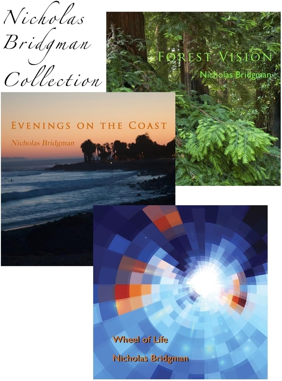Nicholas Bridgman Collection Paperback – 5 Dec. 2016