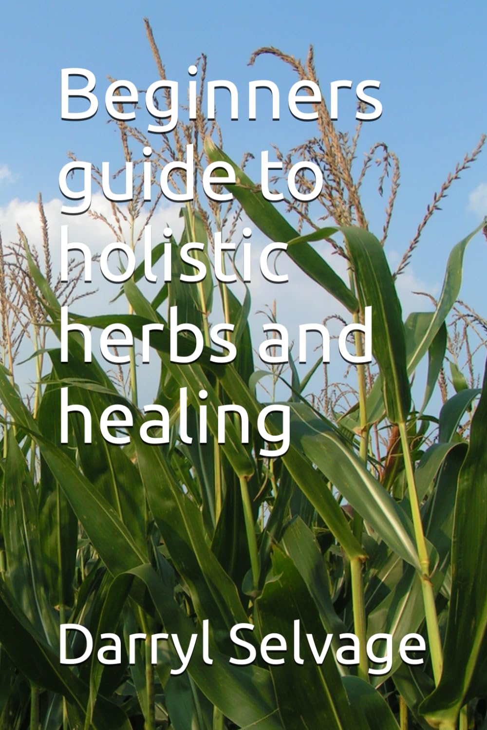 Beginners guide to holistic herbs and healing