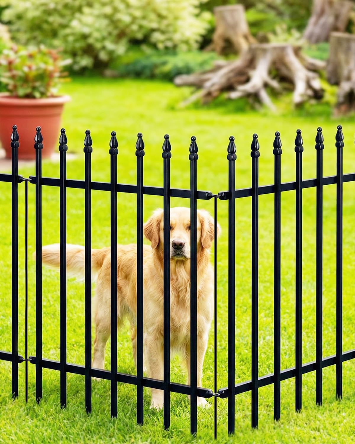 ARIFARO Valla Metálica Decorativa para Jardín de Pack de 5, 81cm alto x 61cm ancho Barrera para Animales, para Mascotas Perros, Valla de Jardín para Exteriores Patio Césped Jardín Macizo de Flor