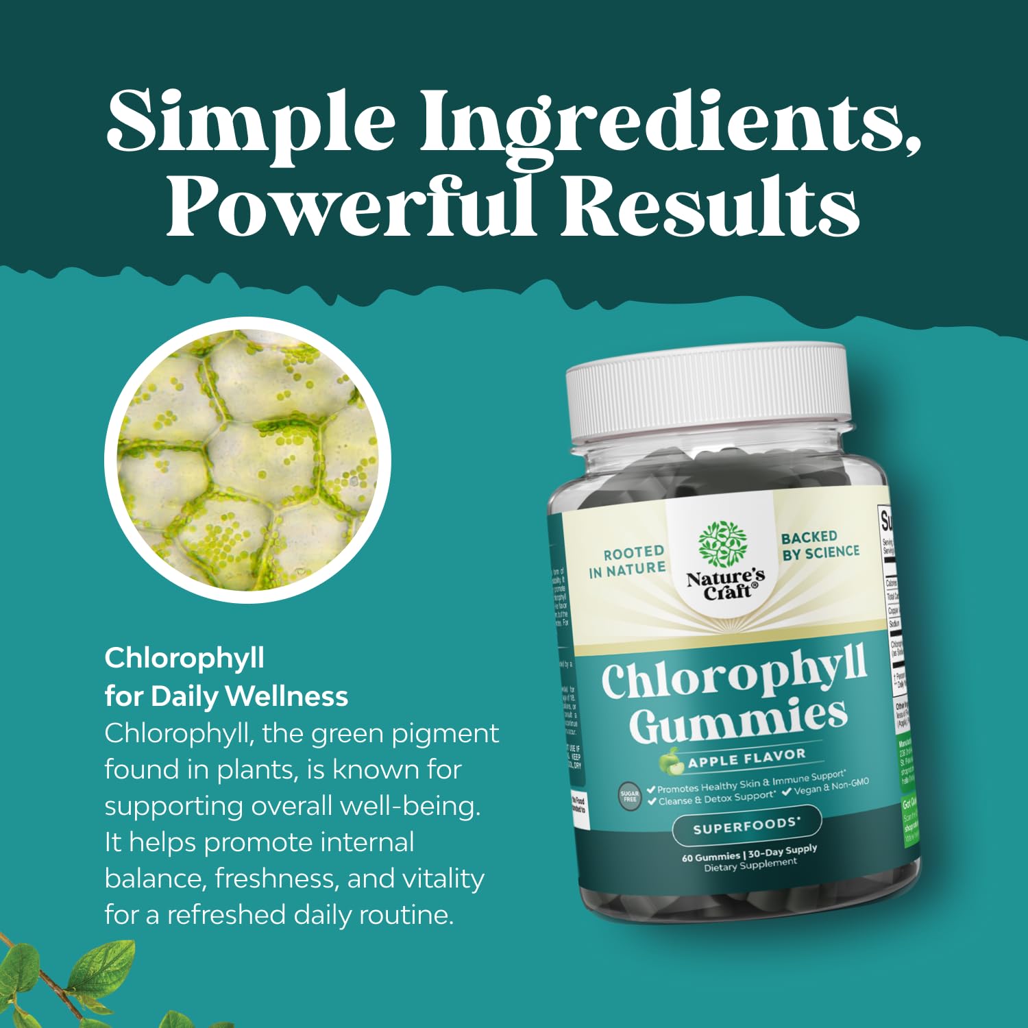 dandelion glutathione Amazon.com: Bundle of Liver Support NAC - N Acetyl Cysteine with  Antioxidants Turmeric Choline Dandelion & L-Glutathione and Chlorophyll  Gummies