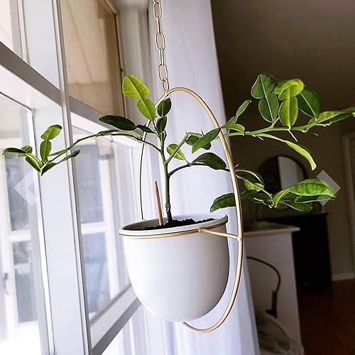 Miniatura 2 de Paquete de 2 macetas colgantes de metal, bohemias, de 6pulgadas (desmontable), con gancho y cadena, modernas, macetas de pared y techo, en color