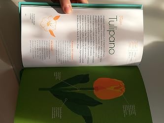 Immagine del cliente