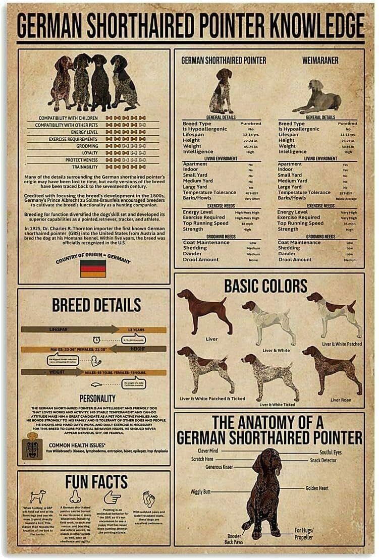 Yunking Style-54 Retro Metal Tin Sign,German Shorthaired Pointer Knowledge Home Bar Shop Decorations Coffee Vintage Sign Gift 8X12 Inch