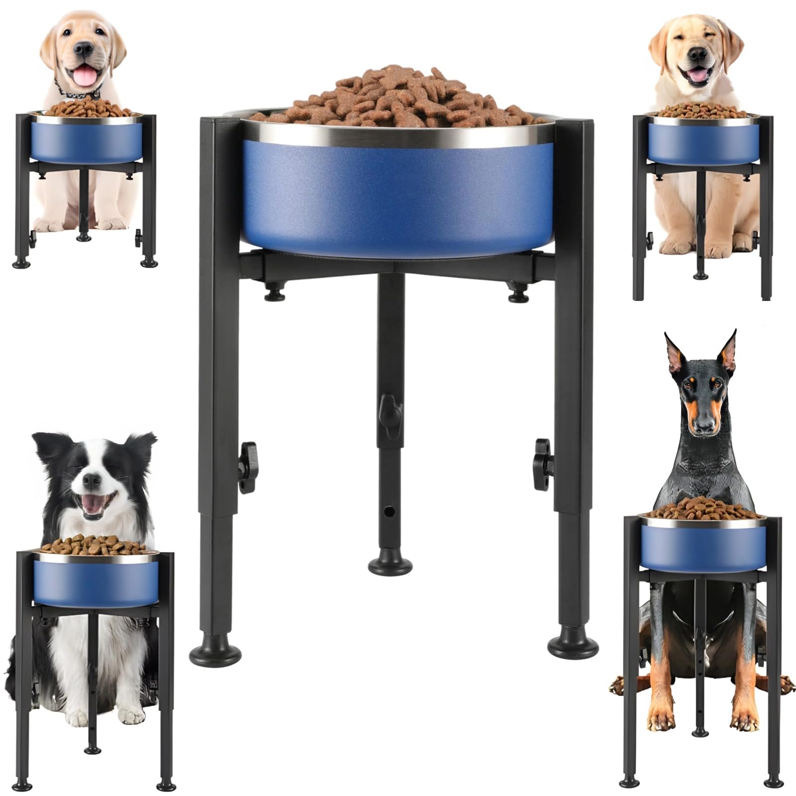 Support bleu pour chiens de grande et moyenne taille avec gamelle inox