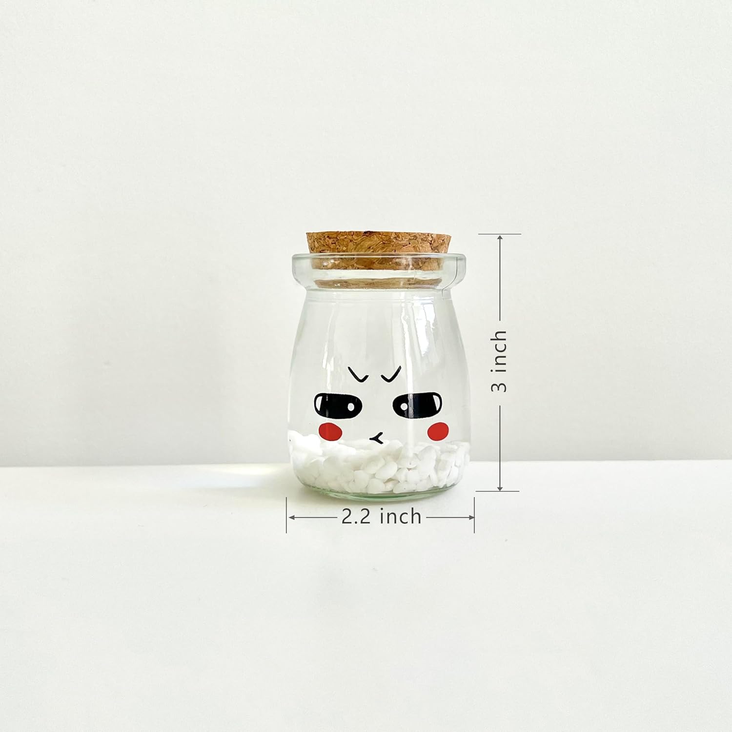 Desktop Aquarium Set Cute Face Glass Jar with Cork, 2pcs Live Aqua Balls, DIY Terrarium Gift (5 Sets)