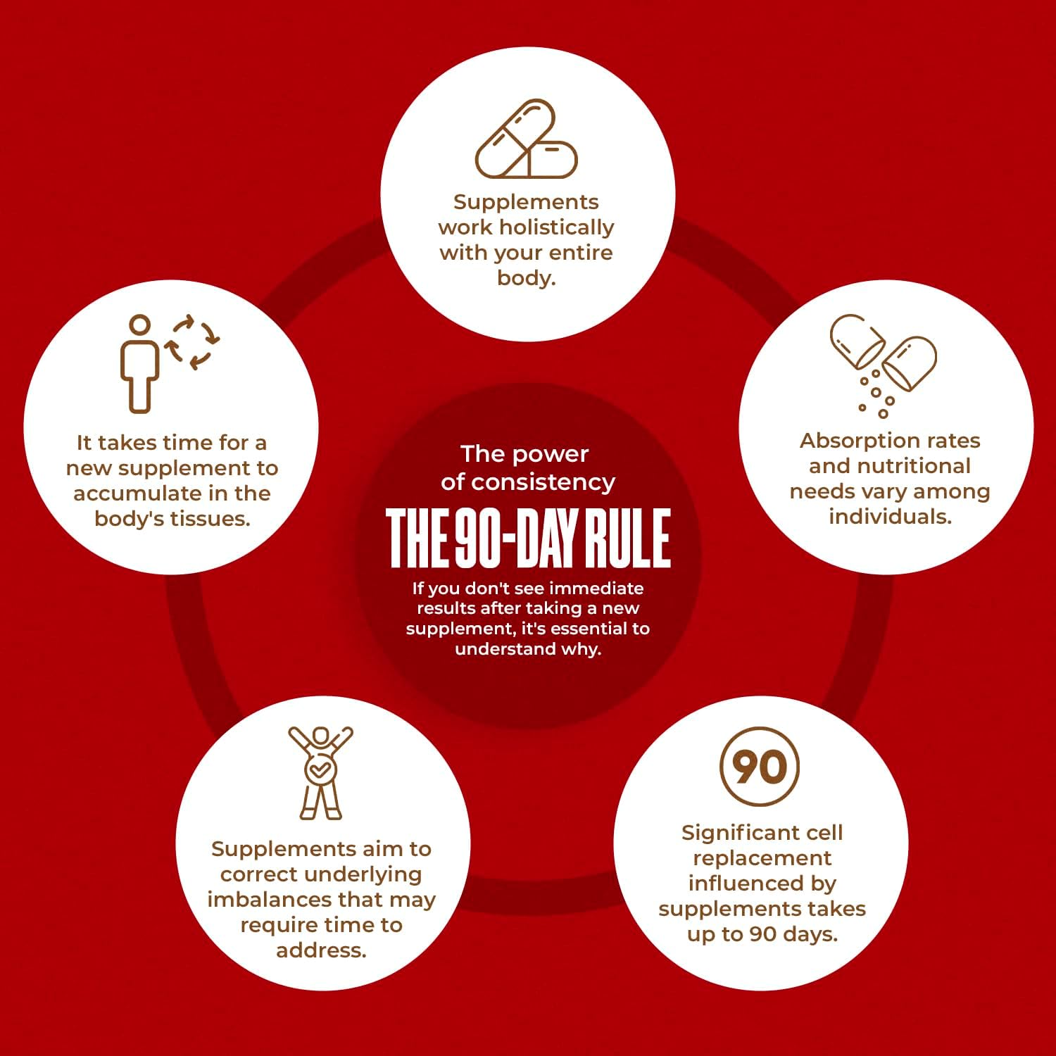 Amazing Botanicals Maitake Mushroom Extract – Liquid Maitake Supplement for Daily Wellness – Vegan, Alcohol-Free, Sugar-Free Drops – 1 fl oz - Image 8