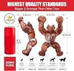 Jouets pour chiens pour les brochettes agressives, Jouets de chien indéstructibles, Jouet de chien en nylon le plus dur avec véritable parfum de bacon, Amusement à la truie, Joueurs de os de chien pour chiens de race moyenne/grande