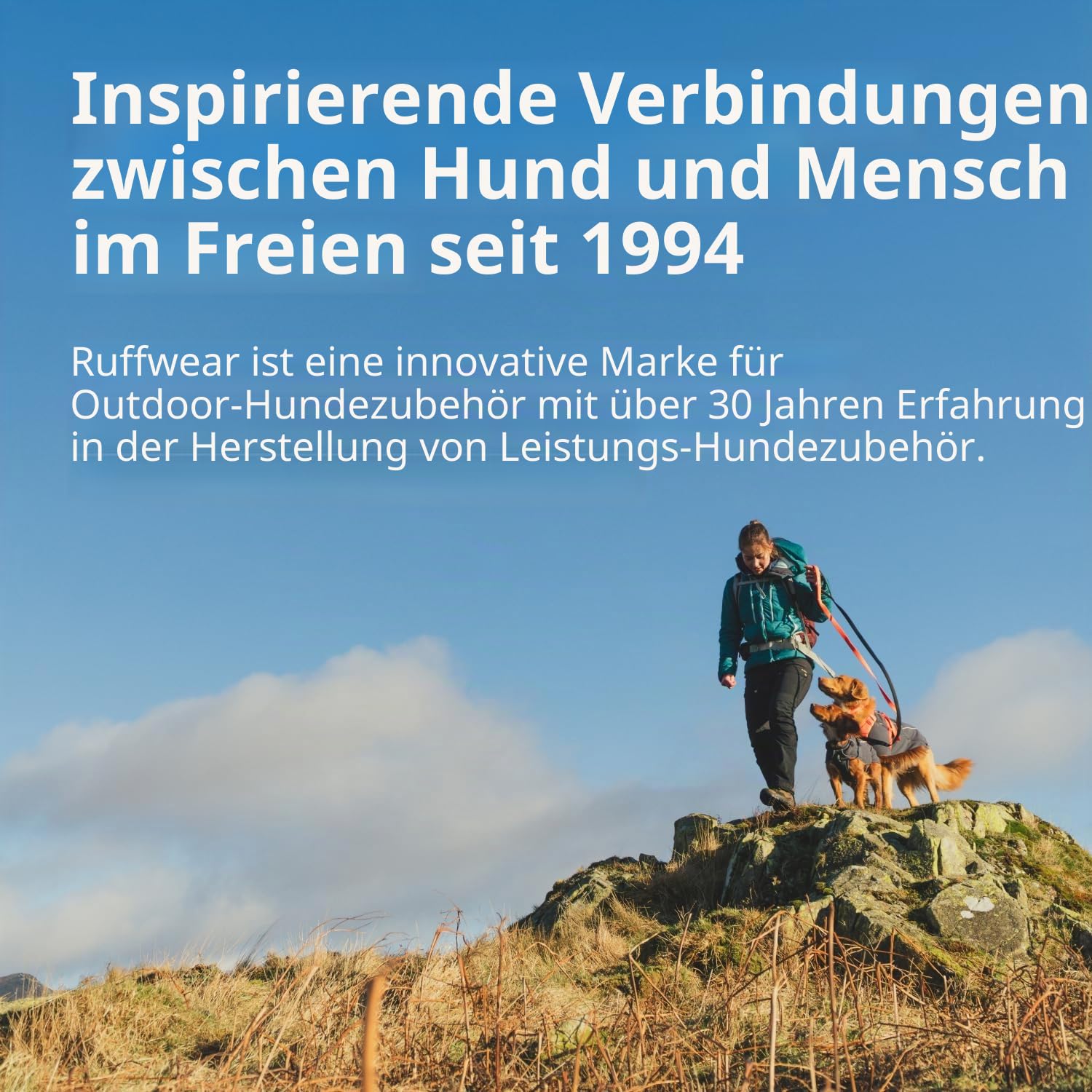 RUFFWEAR Vert Regenjacke für kleine Hunde, isolierter Allwetter-Hundemantel, wasserdichte Hundejacke, leichte wetterfeste Hundeweste und Winter-Hunderegenmantel, Größe S, Mineralgelb