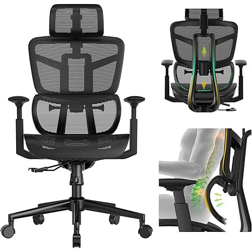 Ergonomic Office Chair, High Back Mesh Desk Chair with Liftable Backrest Armrest, 3D Adjustable Lumbar Support Headrest Computer Executive Chair