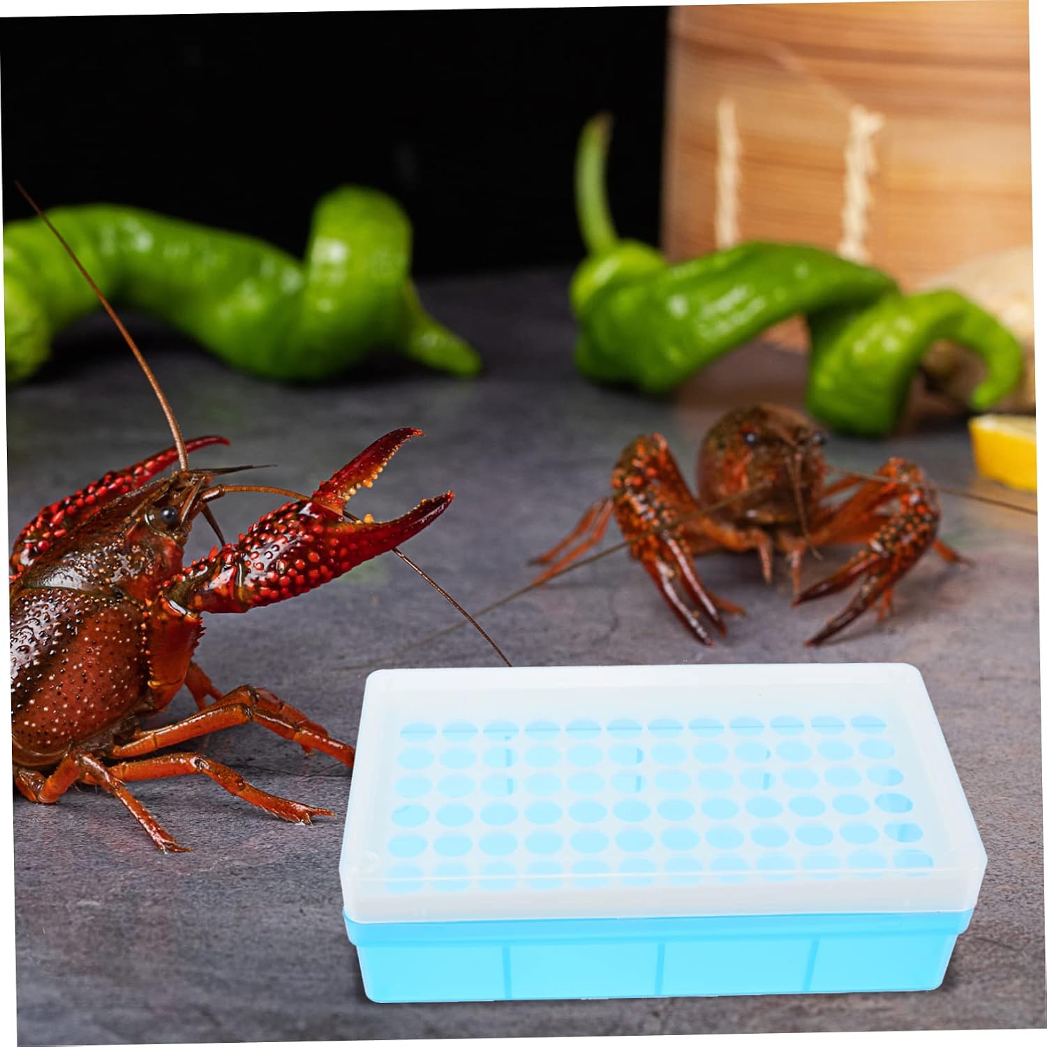 MERRYHAPY 1Set Practical Brine Shrimp Storage Box with Tubes and Droppers for Hatchery Management for Fish and Shrimp Breeding