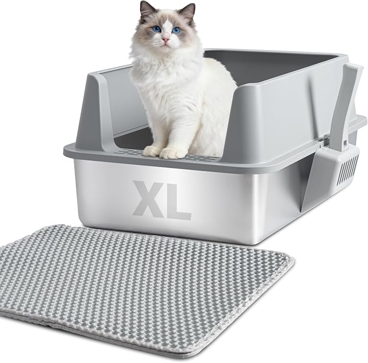 Transparent editorial object representing Lifestyle